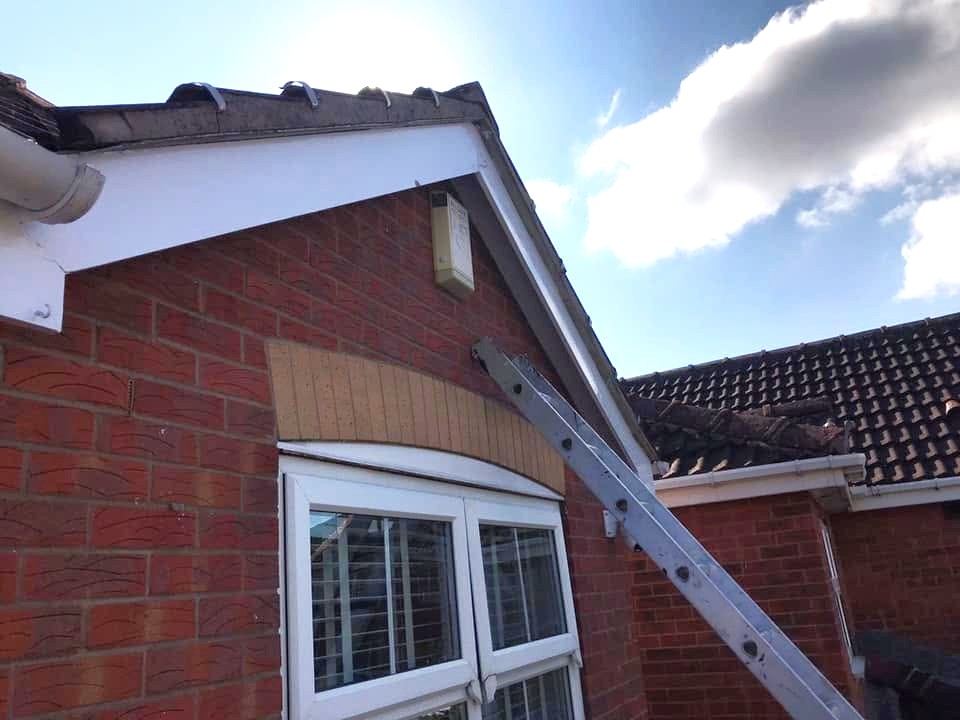 Exterior Painting